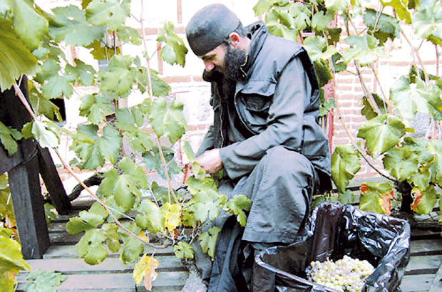 ЧУДО СА ХИЛАНДАРА ОД САДА И У БЕОГРАДУ: Лоза испред Храма Светог Саве на Врачару (ВИДЕО)